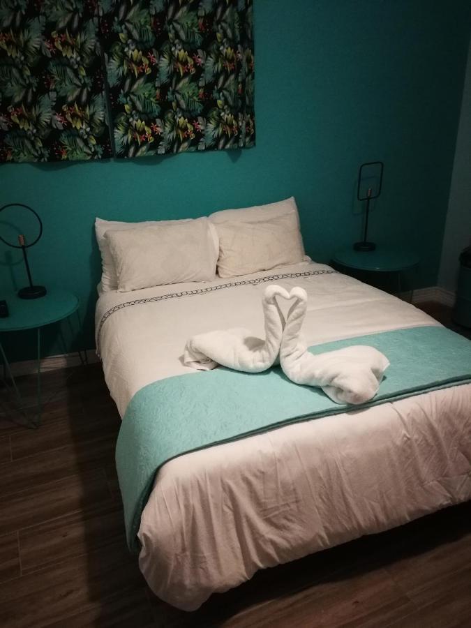 Nativus Art-Hostel Σαν Χοσέ Εξωτερικό φωτογραφία
