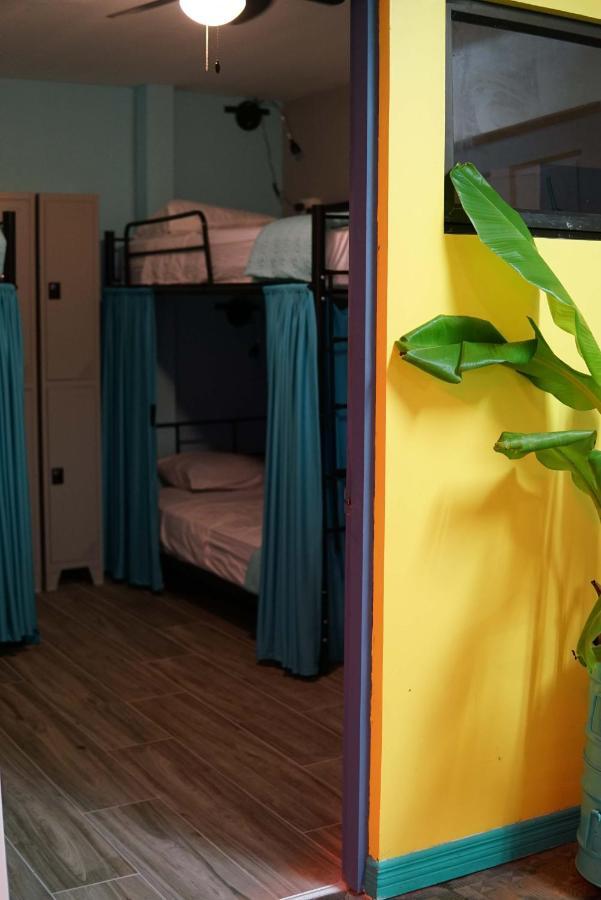 Nativus Art-Hostel Σαν Χοσέ Εξωτερικό φωτογραφία
